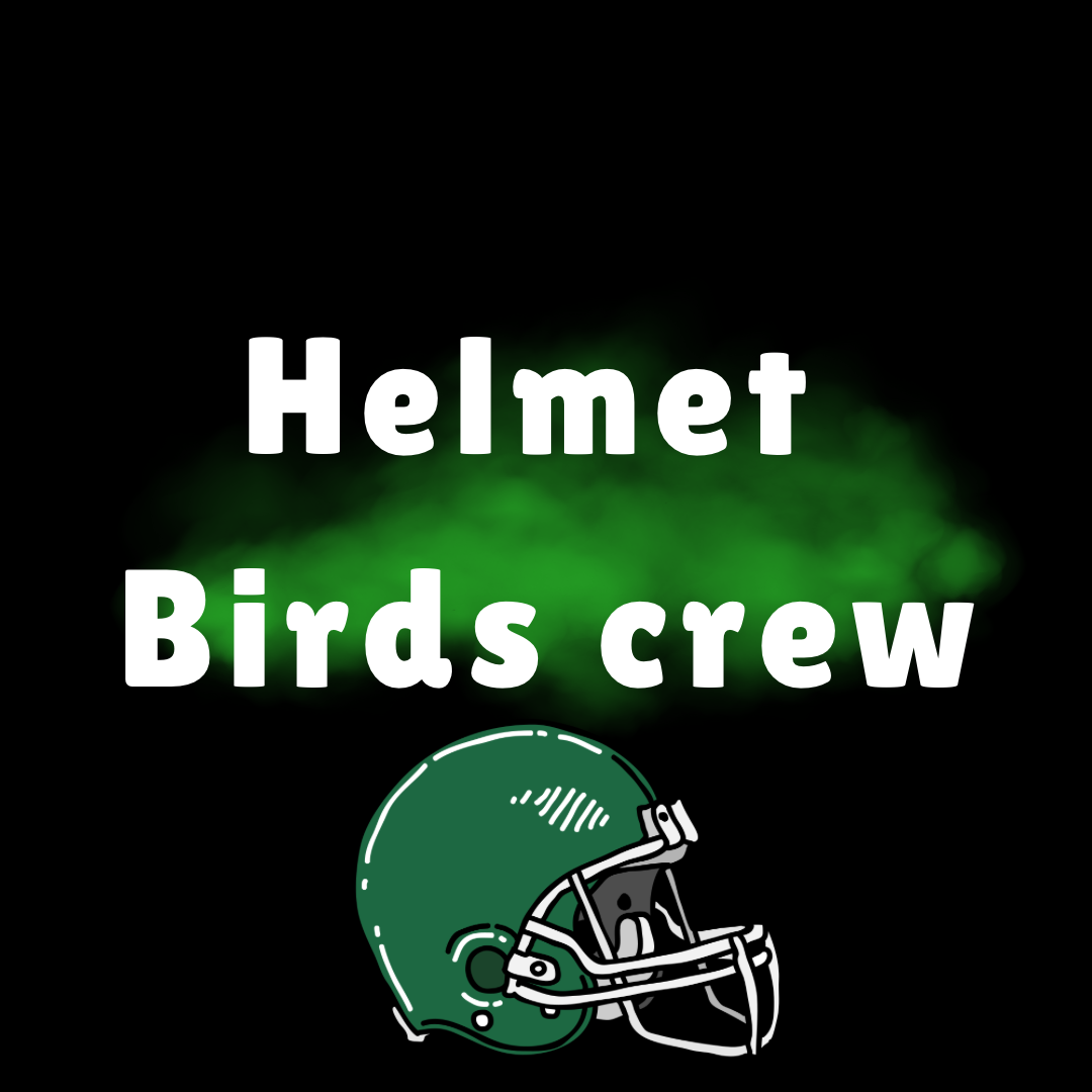 Helmet Birds Crew